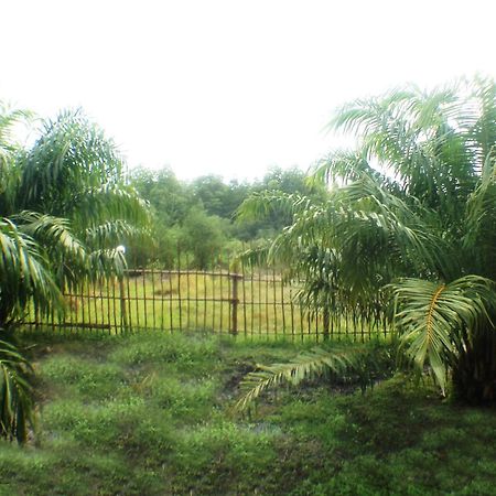 Yaoisland Resort And Farm Яо-Яй Экстерьер фото