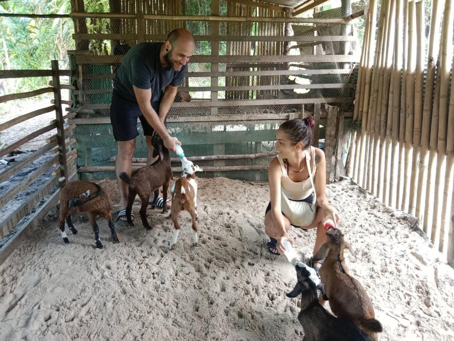 Yaoisland Resort And Farm Яо-Яй Экстерьер фото