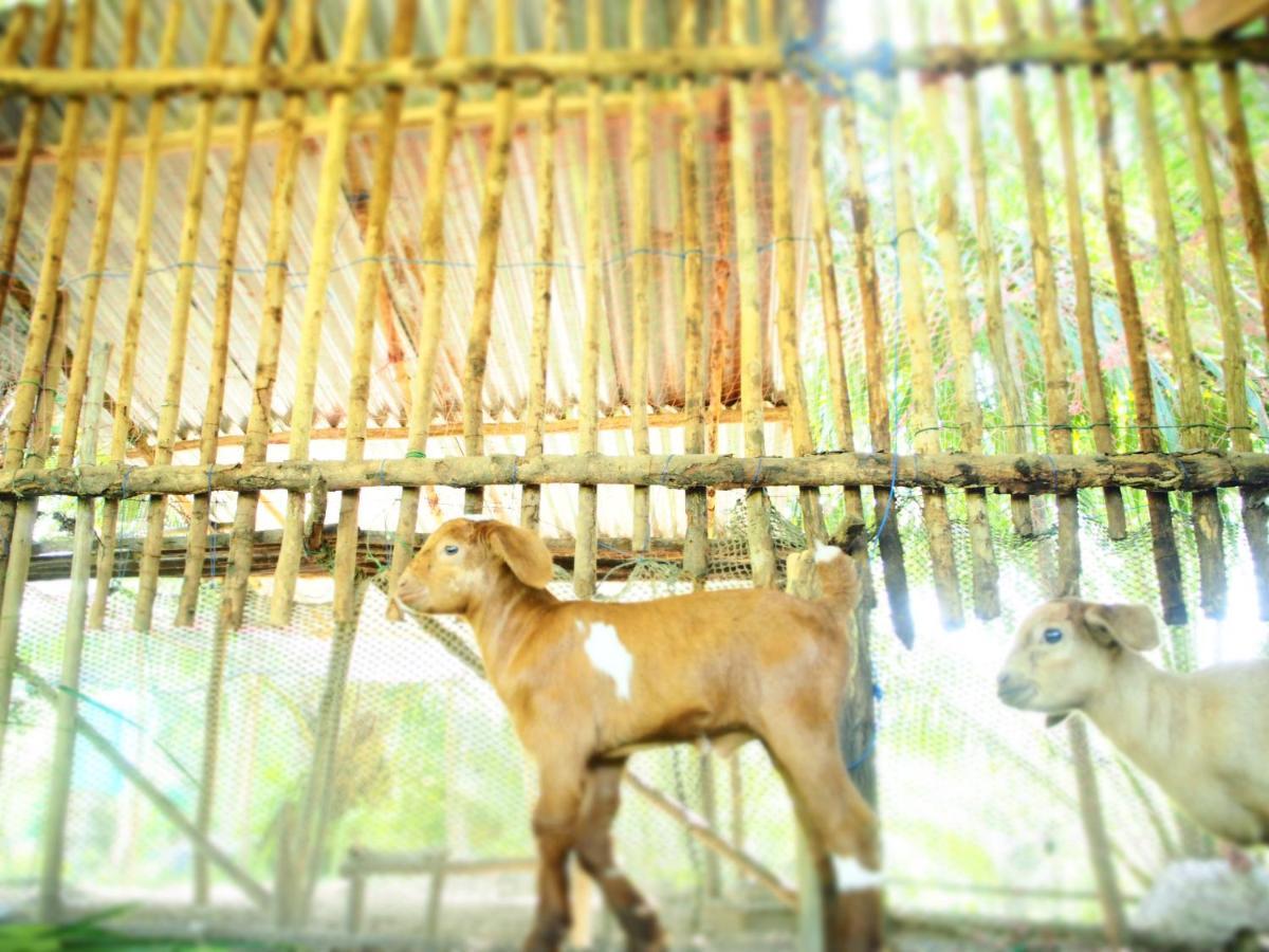 Yaoisland Resort And Farm Яо-Яй Экстерьер фото